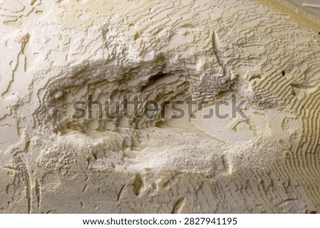 DAMAGED SURFACE OF A WHITE CUTTLEFISH BONE DISPLAYING STEPPED LAYERING OF CHALKY AROGONITE