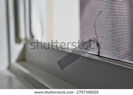 Damaged Window Screen Mesh with Torn Section