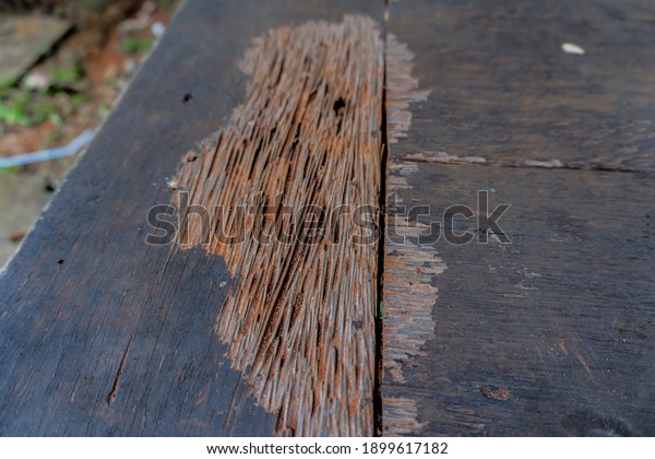 Damaged wood from being\
eaten by termites