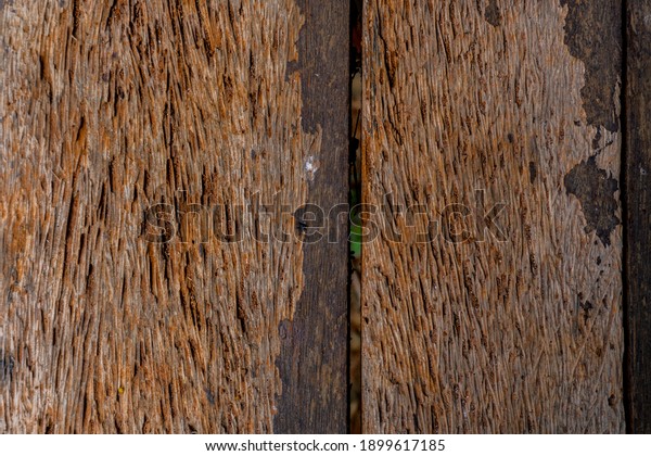 Damaged wood from being\
eaten by termites