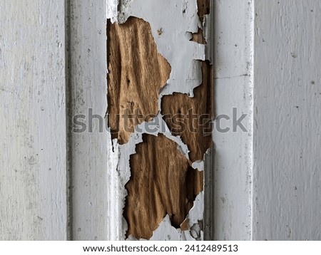 Damaged Wood by Termites. This photo could be used to illustrate a lesson about termites or wood damage.This photo could be used to show the damage caused by termites in a home or building.