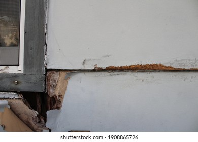 Damaged Wood Lap Siding Of A House Exterior. The Wooden Building Material Is Rotting And The Grey Paint Is Chipping.