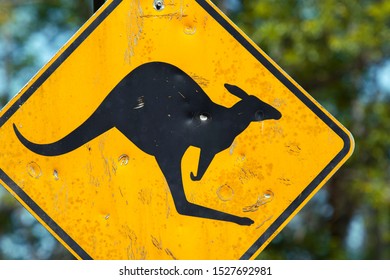 1,405 Kangaroo Warning Sign Images, Stock Photos & Vectors | Shutterstock