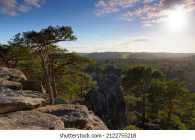 Dame Jouanne rock in Fontainebleau forest