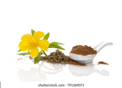Damiana flower with dried levaes and powder. Isolated on white background.