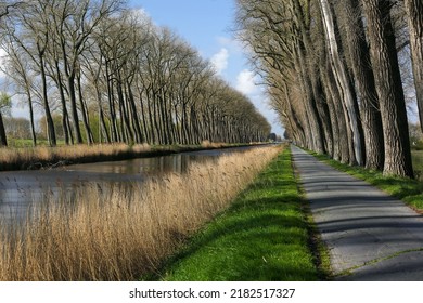 Damme Bruges Canal Tourism Beauty