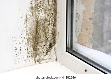 The Damp Is Attacking The Wall At A Window