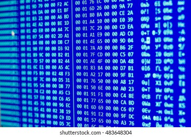 Damp of the data. Computer science.