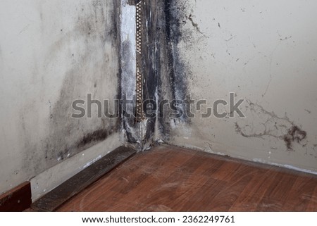 Damp and moldy wall. Peeling of paint and swelling of the wall from excessive moisture. Water is leaking out of the wall.