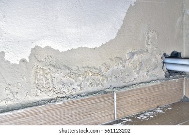 Damp And Moldy Wall. Water Leaks. Close-up
