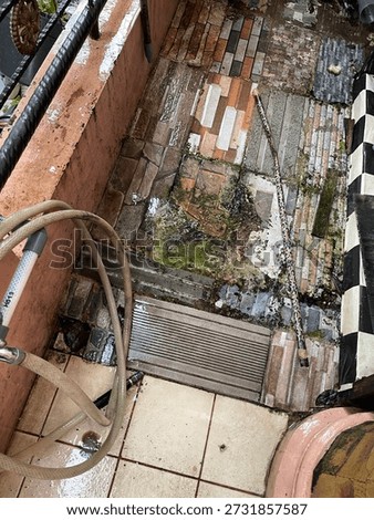 Damp Tiled Floor with Moss and Algae in Outdoor Residential Area