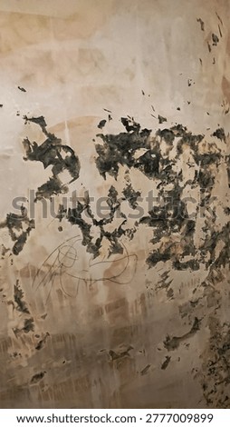 a damp wall that needs to be repaired