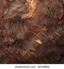 Damp wood macro texture / background