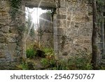 Dams to Darnley Country Park. Ruin of Waulkmill Glen. Appears on a map of 1852 as a roofless ruin. The most plausible theory is that it was connected to Charles Tennant