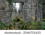 Dams to Darnley Country Park. Ruin of Waulkmill Glen. Appears on a map of 1852 as a roofless ruin. The most plausible theory is that it was connected to Charles Tennant