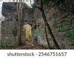 Dams to Darnley Country Park. Ruin of Waulkmill Glen. Appears on a map of 1852 as a roofless ruin. The most plausible theory is that it was connected to Charles Tennant