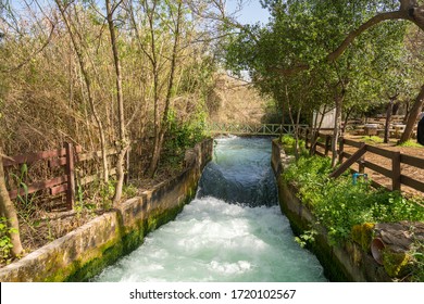 The Dan Stream watercourse in Tel Dan Nature Reserve – the source of the water is the gushing abundance of the Dan Spring, creating a strong current, North Israel