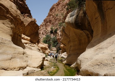 Dana Biosphere Reserve in Jordan. Amazing rocks in Wadi Ghuweir Canyon. Silhouette of hiking people on trail. 