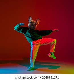 Dance moves. Young man, hip hop dancer headed of dog's head dancing isolated over dark red background in neon light. Inspiration, idea, street dance style. Surrealism, ad. Contemporary artwork