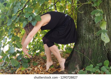 Dancer In Park Ballerina Young Woman Modern Dance Contemporary Nature Ballet Dancing Outdoors Action Performance Performer Posing Tree - Powered by Shutterstock