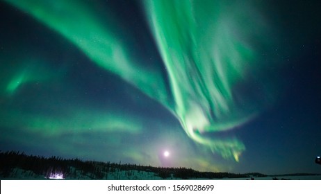 dancing aurora in the forest