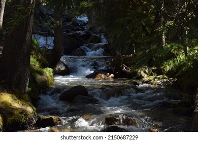 Dancing sunlight through the canopy of the trees - one of the many locations which give this place its appropriate name - Sundance Canyon, Banff, Alberta.