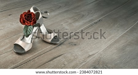 Dancing tango stilettos shoes with a rose on wooden floor with text space, panoramic banner image.