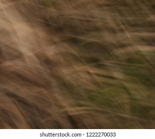 Dancing Wild Grass