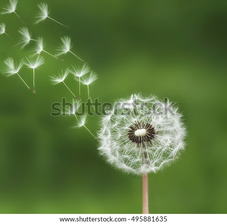 Similar – Image, Stock Photo upright Life Harmonious
