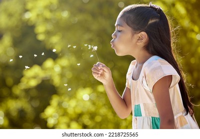 Dandelion blowing, nature and girl outdoor feeling zen and calm in spring with flowers. Young child from Vietnam in a garden, kid and green park having fun in sunshine in peace and quiet outdoors - Powered by Shutterstock