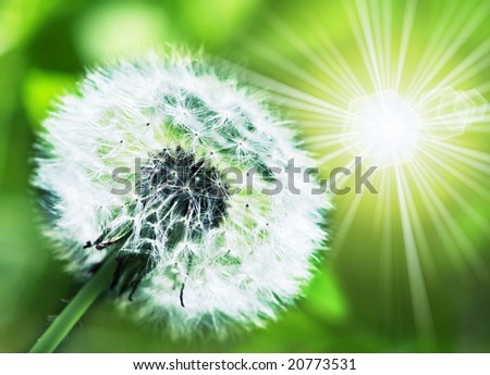 Similar – Image, Stock Photo upright Life Harmonious