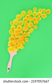 Dandelion Flower Creative Spring Abstract Concept With Paint Brush. Health Food For Natural Herbal Plant Medicine. Important For Bee Pollen Nectar, Insect Pollination And Eco System. 