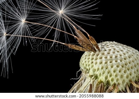 Similar – Image, Stock Photo 777 | Spot landing Nature