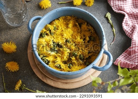 Dandelion flowers collected in spring macerating in water in a pot - preparation of herbal syrup