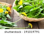 dandelion leaves and flowers