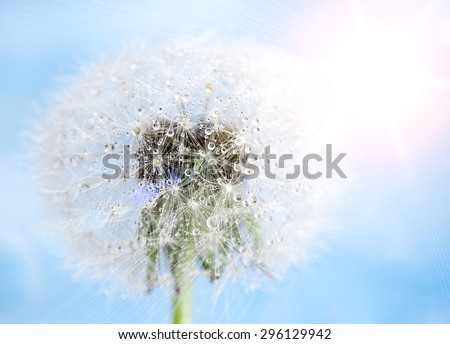 Similar – Image, Stock Photo upright Life Harmonious