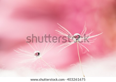 Similar – Image, Stock Photo droplet stamp Life Plant