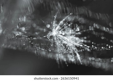 Dandelion seed head covered in morning dew
 - Powered by Shutterstock - Get 15% off with code: PIKWIZARD15