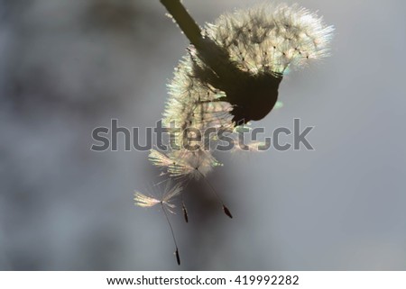 Similar – Image, Stock Photo torpor Colour photo