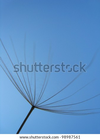 Similar – Image, Stock Photo A frosty leaf Colour photo