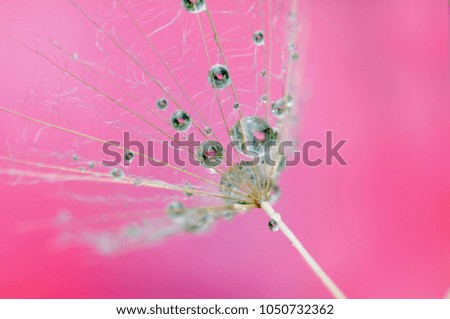 Similar – Image, Stock Photo droplet stamp Life Plant