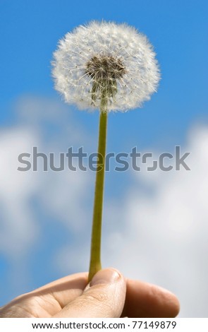 Similar – Nose cleaner? Flower Grass