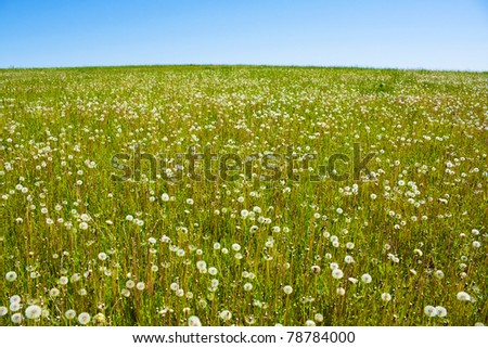 Similar – Image, Stock Photo Flax field in France