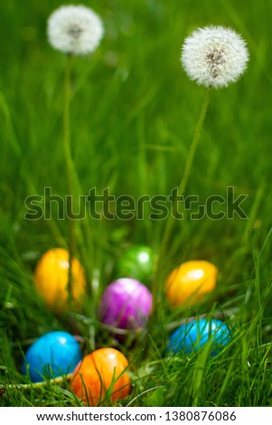 Easter eggs in a garden