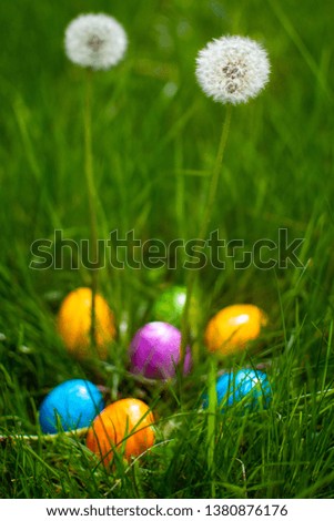 Similar – Easter eggs in a garden