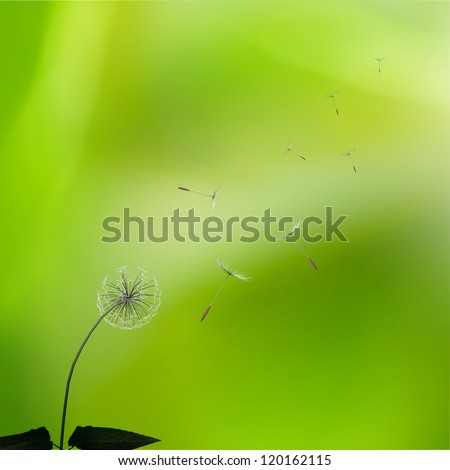 Similar – Image, Stock Photo unfold Aquatic plant