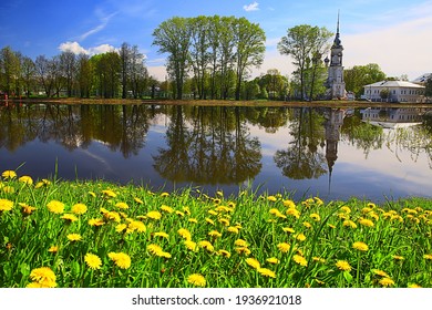 Dandelions Riverbank Landscape Spring, Spring View Seasonal April, May