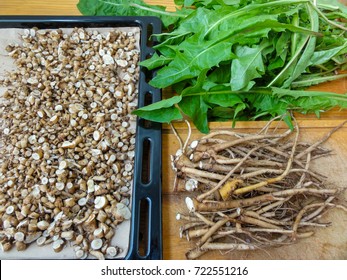 Dandelions roots and leaves, organic healthy herbs