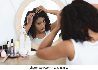 Dandruff Problem. Sad Black Woman Looking At Her Hair Roots With Flaky Scalp In Mirror, Sitting At Dressing Table, Over Shoulder View