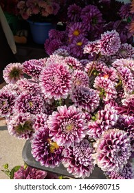 Dane County Farmers Market Flowers